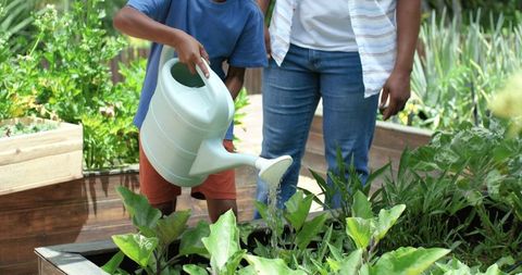 African american mentor and boy watering veggie garden in raised planter, outdoor gardening