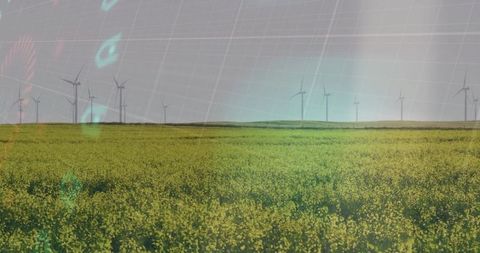 Canola field with wind turbines and teal grid overlay representing renewable energy transition