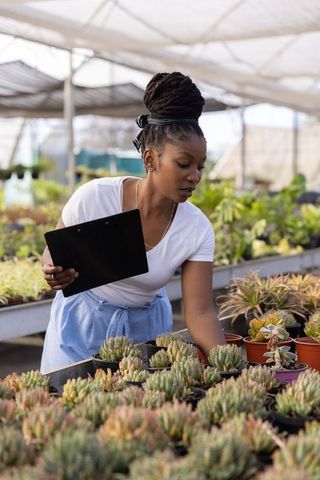 African american woman inspecting succulents at nursery table holding clipboard in greenhouse