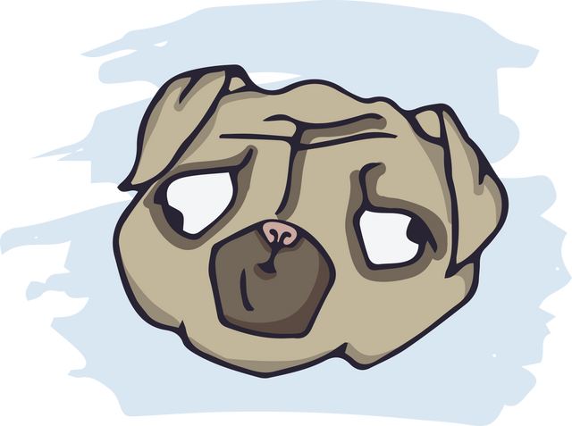 Sad Pug Dog Face Illustration on Transparent Background - Download Free Stock Videos Pikwizard.com