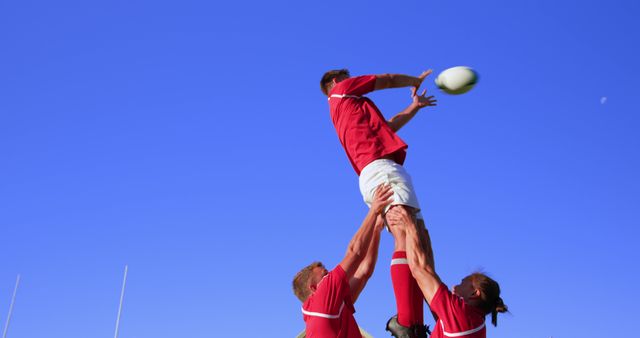 Rugby Players in Action During Lineout on Sunny Day - Download Free Stock Images Pikwizard.com