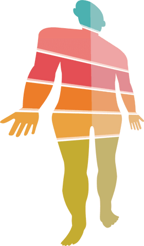 vibrant transparent human silhouette reflecting health journey - Download Free Stock Videos Pikwizard.com