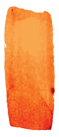 Orange Smudge Illustration with Copy Space on Transparent Background