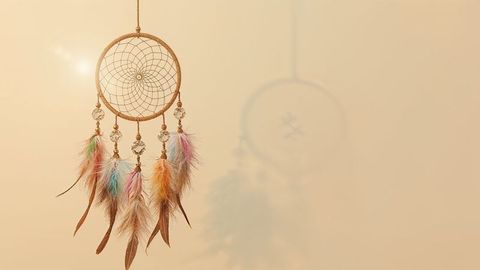 Dreamcatcher With Feathers Casting Shadow on Beige Wall