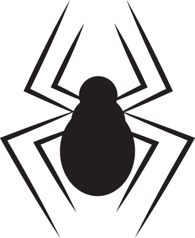 stylized black spider on transparent background vector - Download Free Stock Videos Pikwizard.com