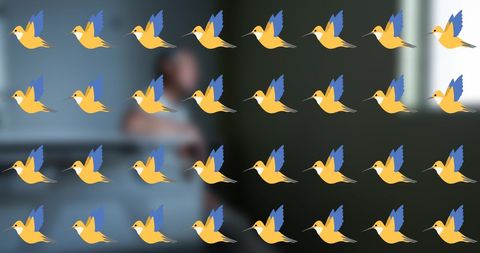 Digital Bird Icons Overlaying Woman in Minimalist Bedroom - Download Free Stock Images Pikwizard.com