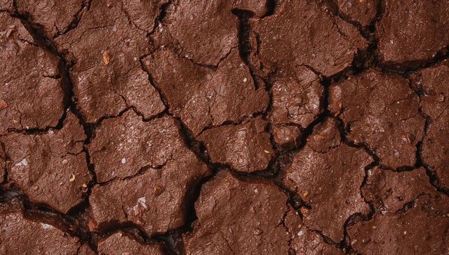 Parched earth cracking into polygonal plates revealing deep fissures with wet subtle sheen