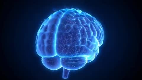 Rotating Neon Brain Model Showing Neural Pathways