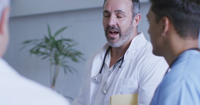 Doctor Discussing with Colleagues in Hospital - Download Free Stock Images Pikwizard.com