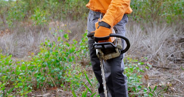 Worker Holding Chainsaw While Clearing Brush in Overgrown Area - Download Free Stock Images Pikwizard.com