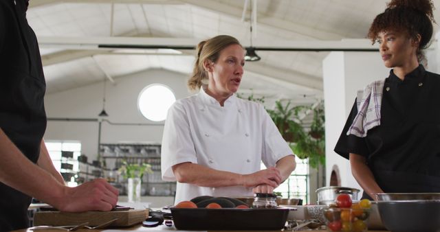 This image showcases professional chefs engaged in a discussion about culinary preparation in an industrial kitchen. It can be used for advertising culinary schools, promoting high-end kitchen equipment, or showcasing teamwork and expertise in professional cooking environments.