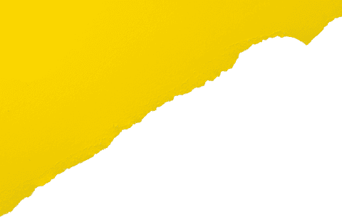 yellow torn paper texture on transparent background with copy space - Download Free Stock Videos Pikwizard.com