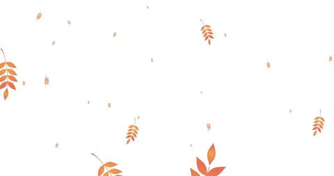 Falling Autumn Leaves on White Background, Seasonal Decoration