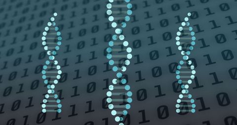 DNA Strands Over Binary Code Digital Illustration - Download Free Stock Images Pikwizard.com