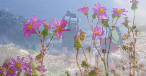 Senior Couple Hiking in Countryside with Wildflowers Double Exposure