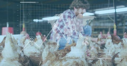 Poultry technician inspecting flock with digital analytics overlay in barn