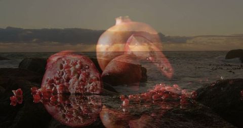 Abstract pomegranate on rocky beach sunset
