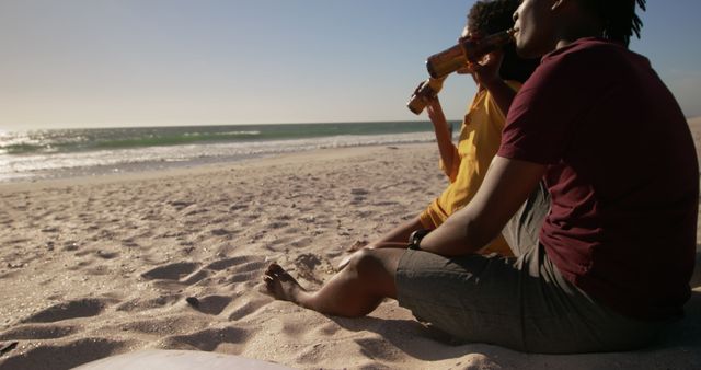 Friends Relaxing and Drinking Beer on Tranquil Beach at Sunset - Download Free Stock Images Pikwizard.com