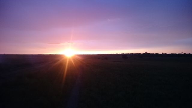 This image captures a stunning sunrise over an expansive open field, with the glowing sun just above the horizon, casting warm light across the landscape. Ideal for wallpapers, travel blogs, nature-focused publications, and inspirational designs emphasizing the beauty of morning light and natural sceneries.
