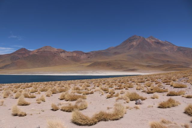 Image shows a mountainous desert landscape with sparse yellow vegetation scattered on the sandy ground, and a blue lake in the background. Perfect for illustrating travel blogs, nature documentaries, or educational materials on geography and natural formations. Could also be used in advertisements promoting adventure tourism or exploration activities.
