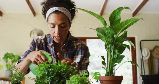 Woman carefully tending to houseplants in bright indoor space. Suitable for content related to indoor gardening, hobbies, plant care, home lifestyle, environmental sustainability, and relaxation activities.