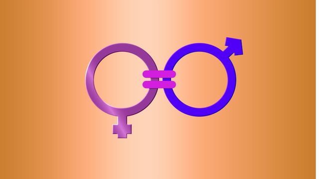 Illustration of intertwined gender symbols on gradient background. Can be used for promoting gender equality, inclusivity campaigns, educational materials, diversity initiatives, human rights discussions, social media posts supporting equality.