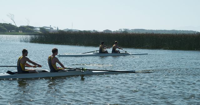 Team of Athletes Rowing in Open Water During Competition - Download Free Stock Images Pikwizard.com