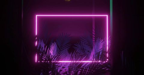 Magenta neon rectangle frame with palm fronds in purple vaporwave glow