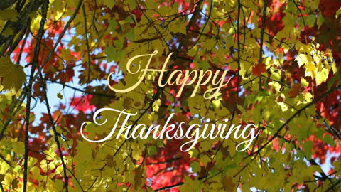 Greeting Card with Happy Thanksgiving Text on Autumn Leaves