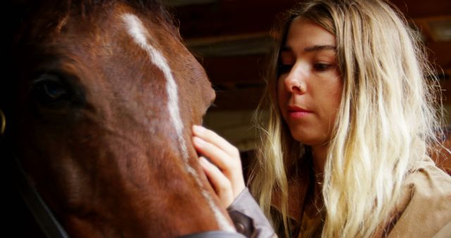 Young Woman Connecting with Horse in Stable - Download Free Stock Images Pikwizard.com