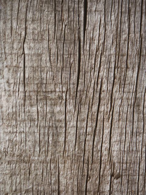Close-up view of weathered wood showcasing intricate natural patterns and grain texture. Suitable for backgrounds, websites, design projects, or as a texture reference in art and modeling.