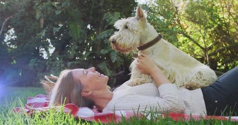 Woman Enjoying Sunny Day with Terrier Dog on Picnic Blanket