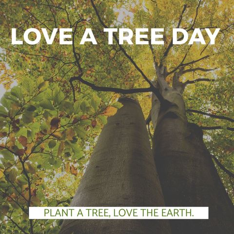 love a tree day inspirational nature concept - Download Free Stock Templates Pikwizard.com