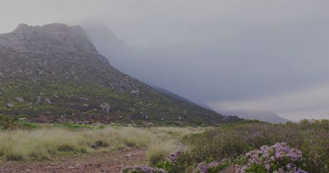 Misty Mountain with Field and Dark Clouds Overhead