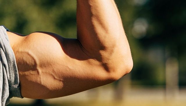 Flexing muscular arm showing defined biceps and prominent veins in sunlit outdoor park