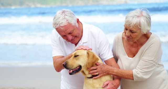 A senior Caucasian couple enjoys a moment with their golden retriever on a sandy beach, with copy space. Their affectionate interaction with the pet highlights a serene and joyful retirement lifestyle.
