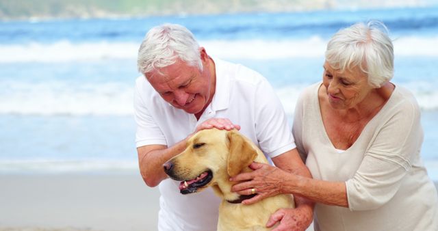 Senior Couple Petting Dog at Beach - Download Free Stock Images Pikwizard.com