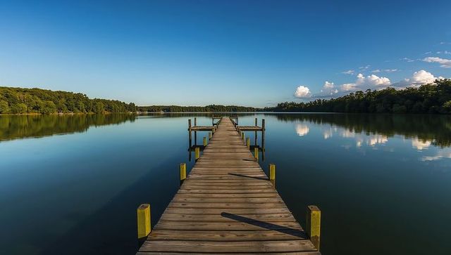 Wooden pier leading to lakeside horizon with mirror-glass water and forest reflections