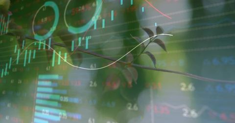 Botanical branch overlaying financial market charts showing candlesticks, rings, bokeh