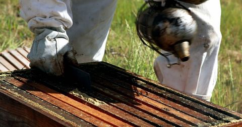 Beekeepers Skillfully Tending to Wooden Beehive Smoker Nearby - Download Free Stock Images Pikwizard.com