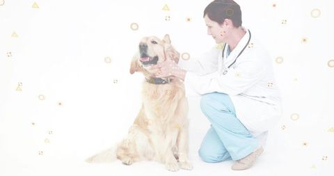 Kneeling veterinarian examining golden retriever during routine checkup in bright clinic