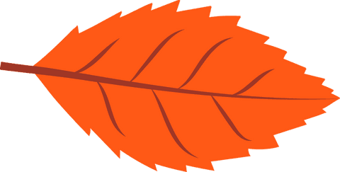 transparent orange autumn leaf illustration with jagged edges - Download Free Stock Videos Pikwizard.com