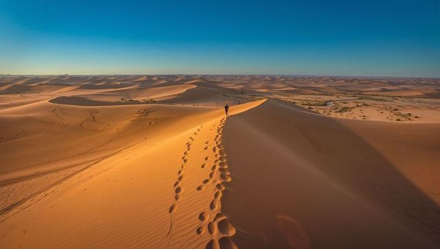 Solo trekker walking dune crest leaving footprints across sunlit golden desert expanse