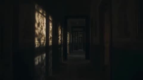 Sunlight Shifting Through Tall Windows Casting Leaf Shadows on Historic Corridor