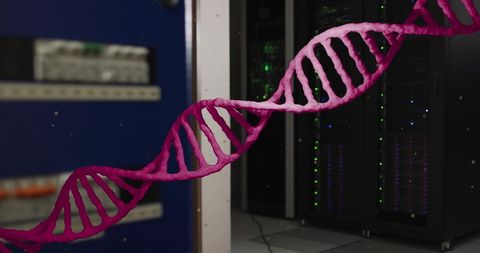 Dna strand rotating in computer server room illustrating biotechnology