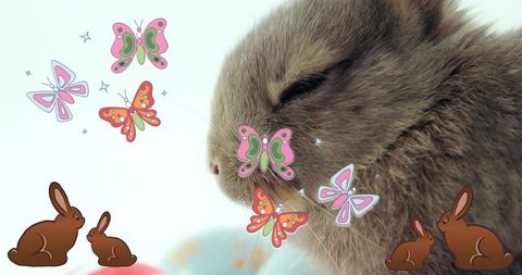 Cozy sleeping bunny with pastel butterfly stickers on soft cushion close-up, whimsical pet decor