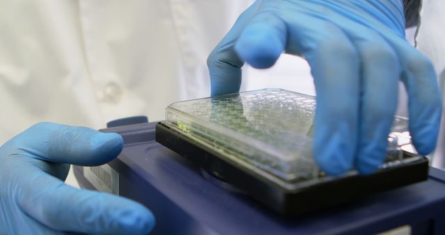 Research Scientist Handling Laboratory Equipment with Cell Culture Dish - Download Free Stock Images Pikwizard.com