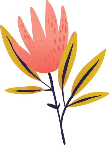 Elegant Pink Blossom on Transparent Background Illustration