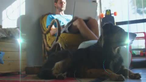 Man Relaxing and Working on Laptop with Dog By Side on Sunny Day