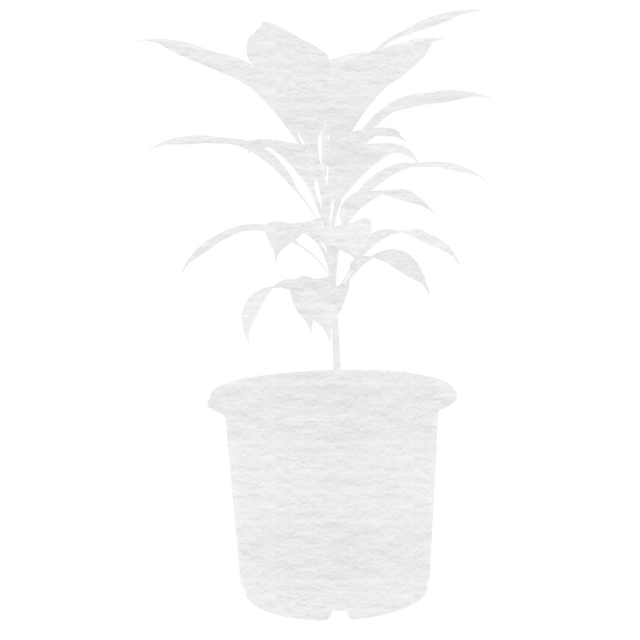 Transparent Digital Illustration of Potted Plant for Nature and Interior Decor - Download Free Stock Videos Pikwizard.com